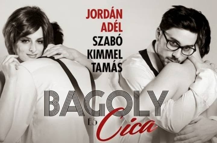 Bagoly és cica
