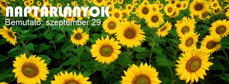 Naptárlányok