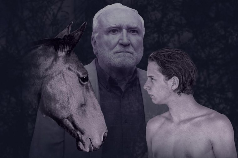 EQUUS