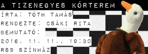 Tizenegyes kórterem