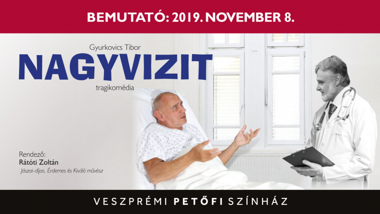 Nagyvizit